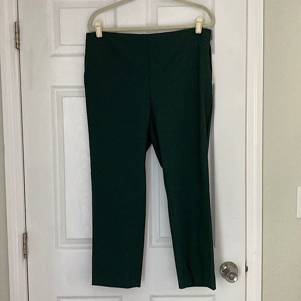 Ann Taylor PETITE dress pants